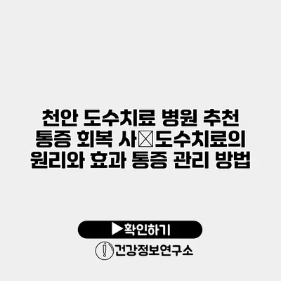 천안 도수치료 병원 추천 통증 회복 사�도수치료의 원리와 효과 통증 관리 방법