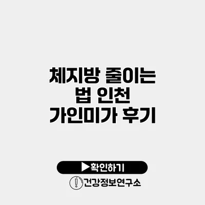 체지방 줄이는 법 인천 가인미가 후기