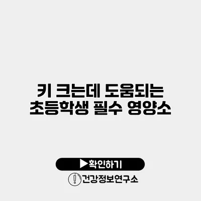키 크는데 도움되는 초등학생 필수 영양소
