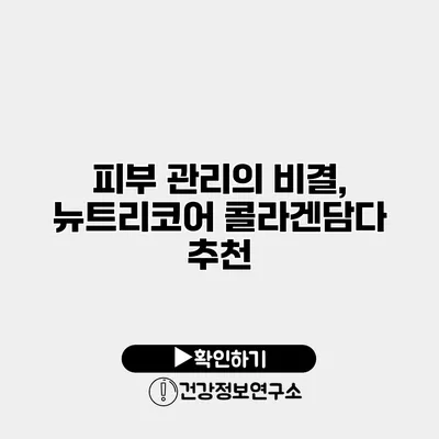 피부 관리의 비결, 뉴트리코어 콜라겐담다 추천