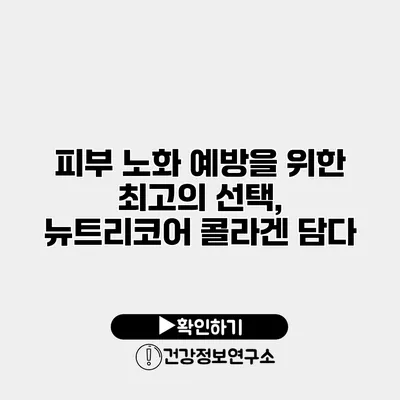 피부 노화 예방을 위한 최고의 선택, 뉴트리코어 콜라겐 담다
