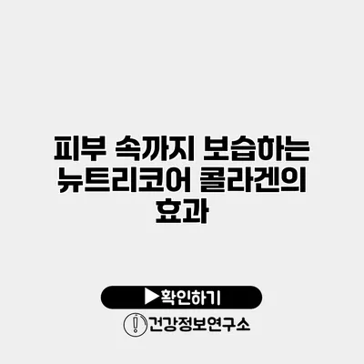 피부 속까지 보습하는 뉴트리코어 콜라겐의 효과