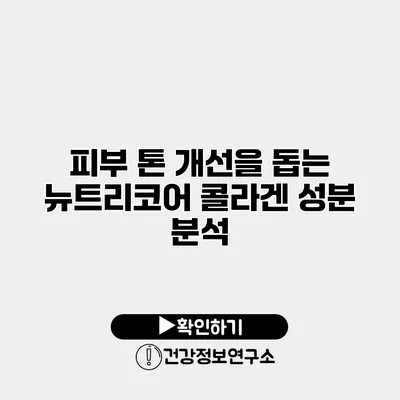 피부 톤 개선을 돕는 뉴트리코어 콜라겐 성분 분석