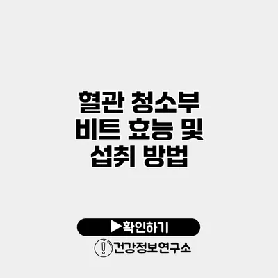 혈관 청소부 비트 효능 및 섭취 방법