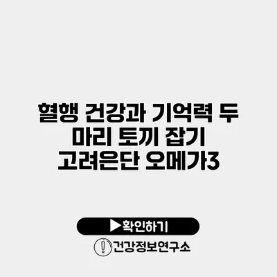 혈행 건강과 기억력 두 마리 토끼 잡기 고려은단 오메가3
