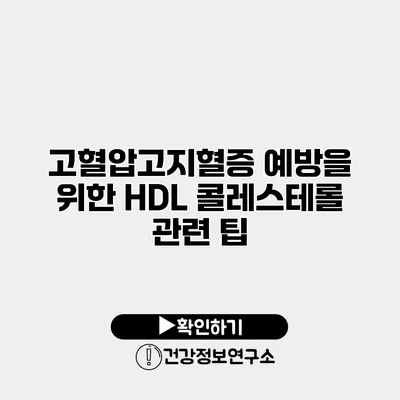 고혈압고지혈증 예방을 위한 HDL 콜레스테롤 관련 팁