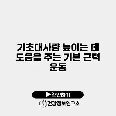 기초대사량 높이는 데 도움을 주는 기본 근력 운동