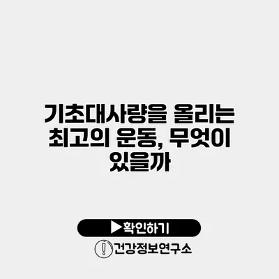 기초대사량을 올리는 최고의 운동, 무엇이 있을까?