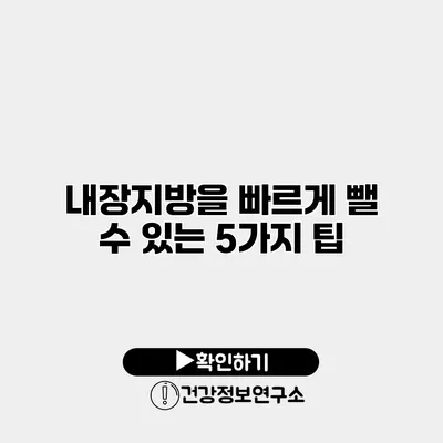 내장지방을 빠르게 뺄 수 있는 5가지 팁