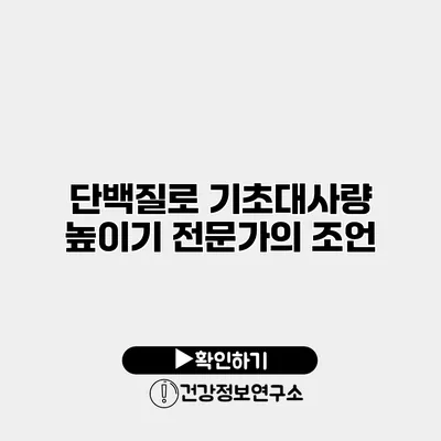 단백질로 기초대사량 높이기 전문가의 조언