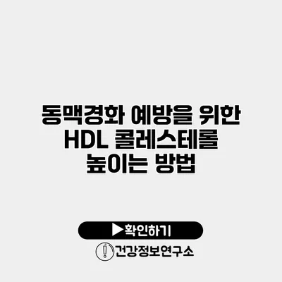 동맥경화 예방을 위한 HDL 콜레스테롤 높이는 방법