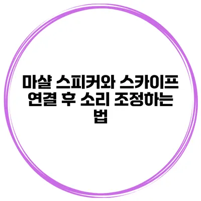 마샬 스피커와 스카이프 연결 후 소리 조정하는 법