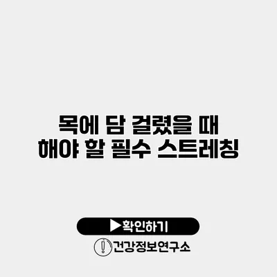목에 담 걸렸을 때 해야 할 필수 스트레칭