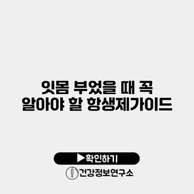 잇몸 부었을 때 꼭 알아야 할 항생제가이드