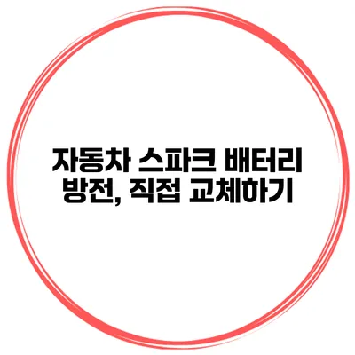 자동차 스파크 배터리 방전, 직접 교체하기