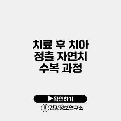 치료 후 치아 정출? 자연치 수복 과정