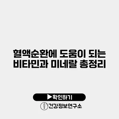 혈액순환에 도움이 되는 비타민과 미네랄 총정리