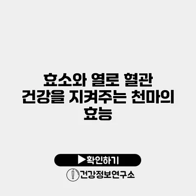 효소와 열로 혈관 건강을 지켜주는 천마의 효능